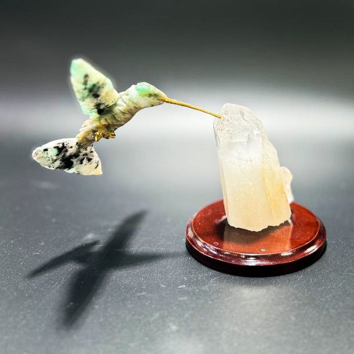 Colibrí con base café
